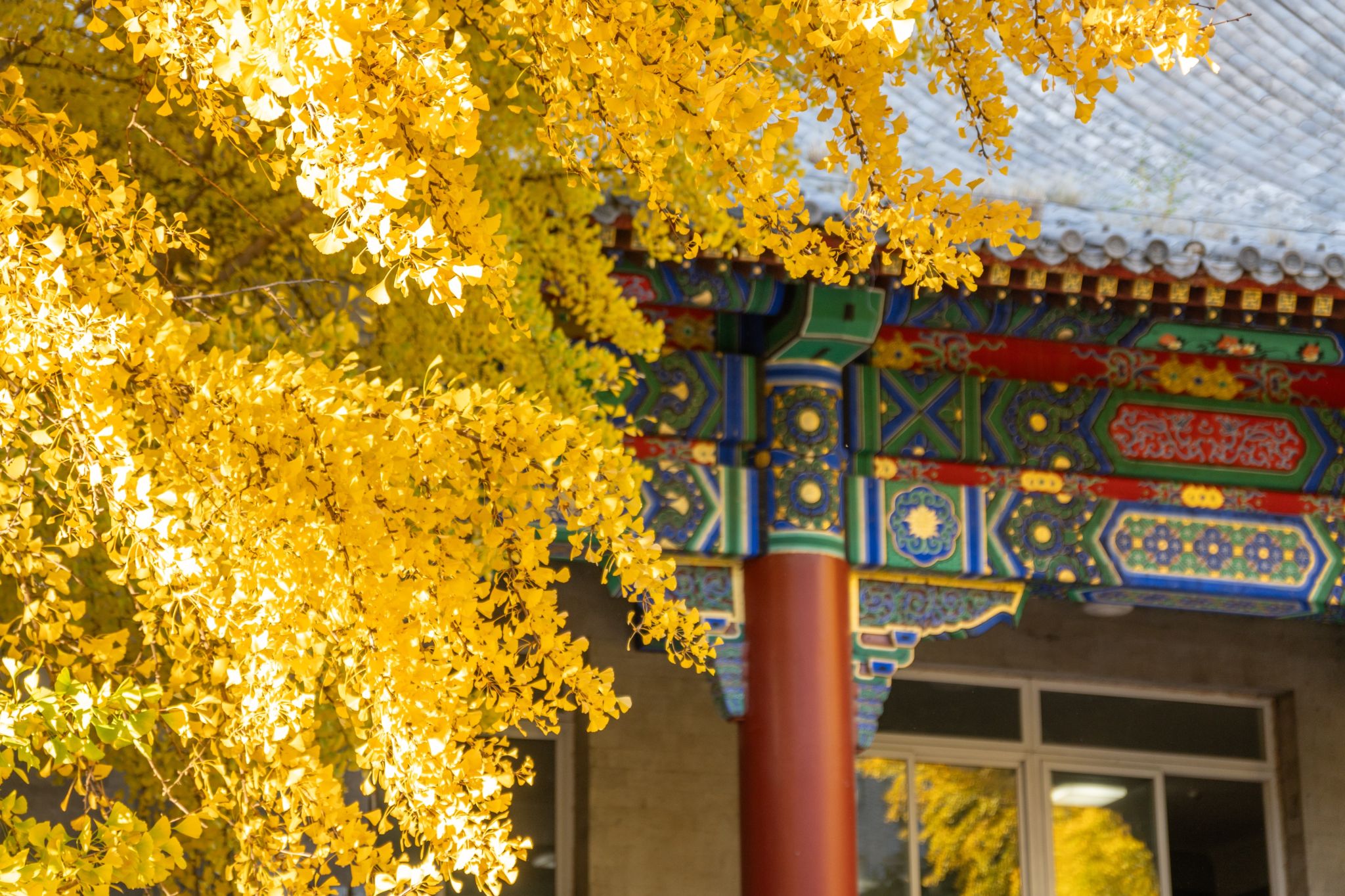 近代中外关系史暨中国与周边国家关系史实验班建设研讨会在校召开