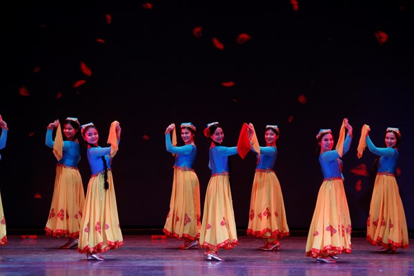 _MG_8809.JPG _MG_8809.JPG